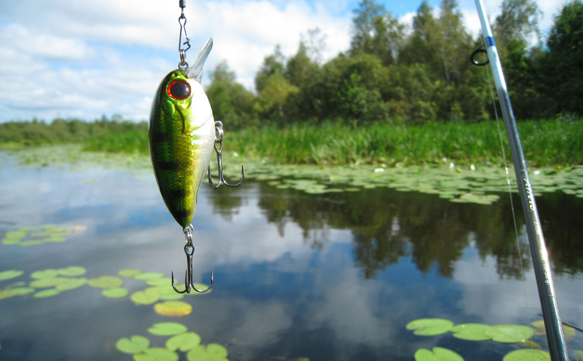 Bass Fishing Caught Background