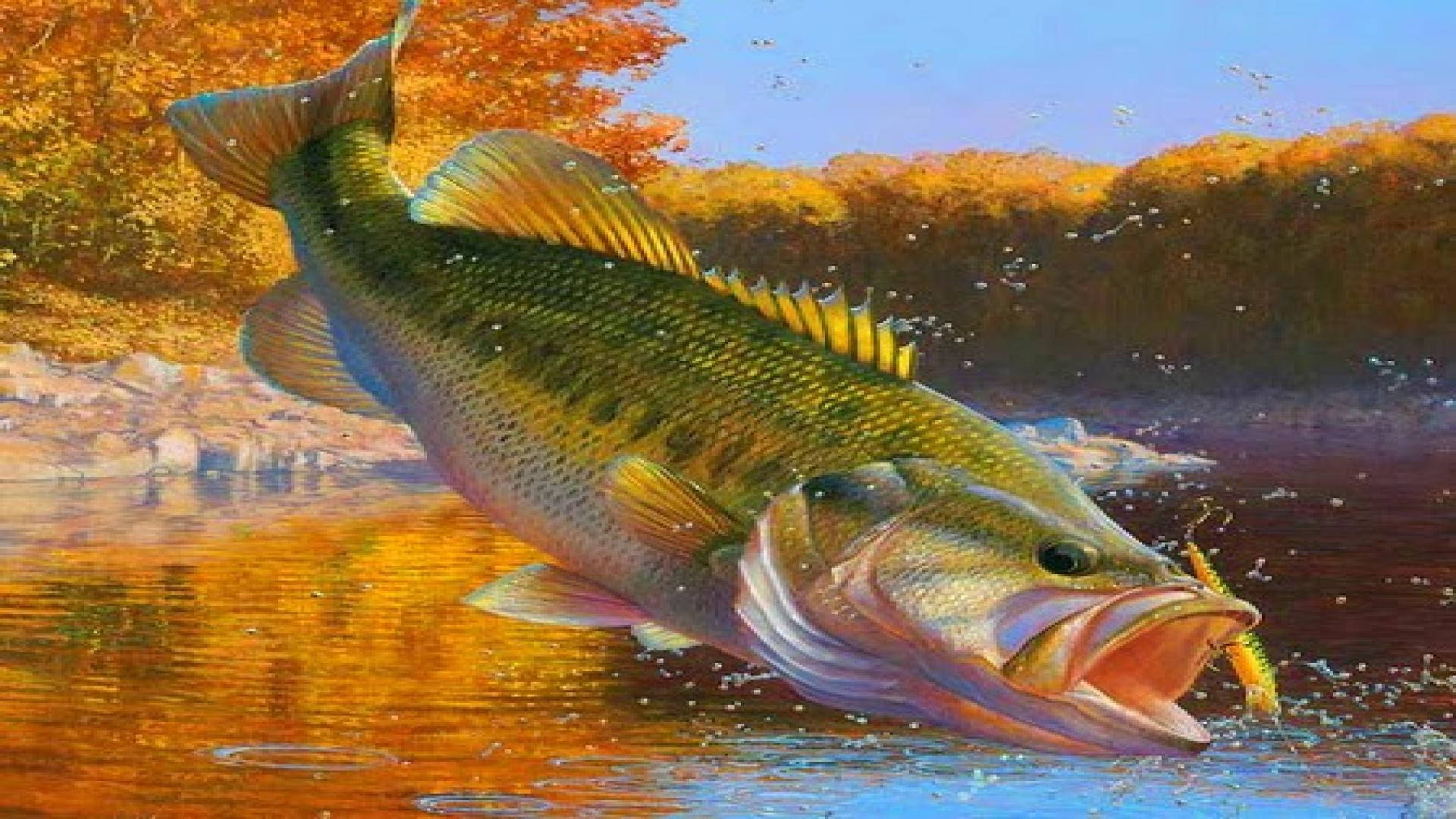 Bass Fishing Painting Background