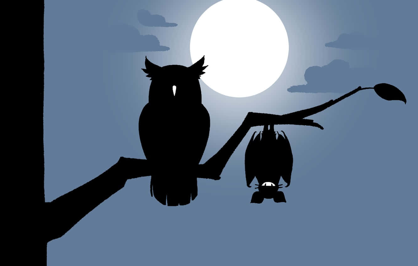 Bat And Owl Cartoo Background