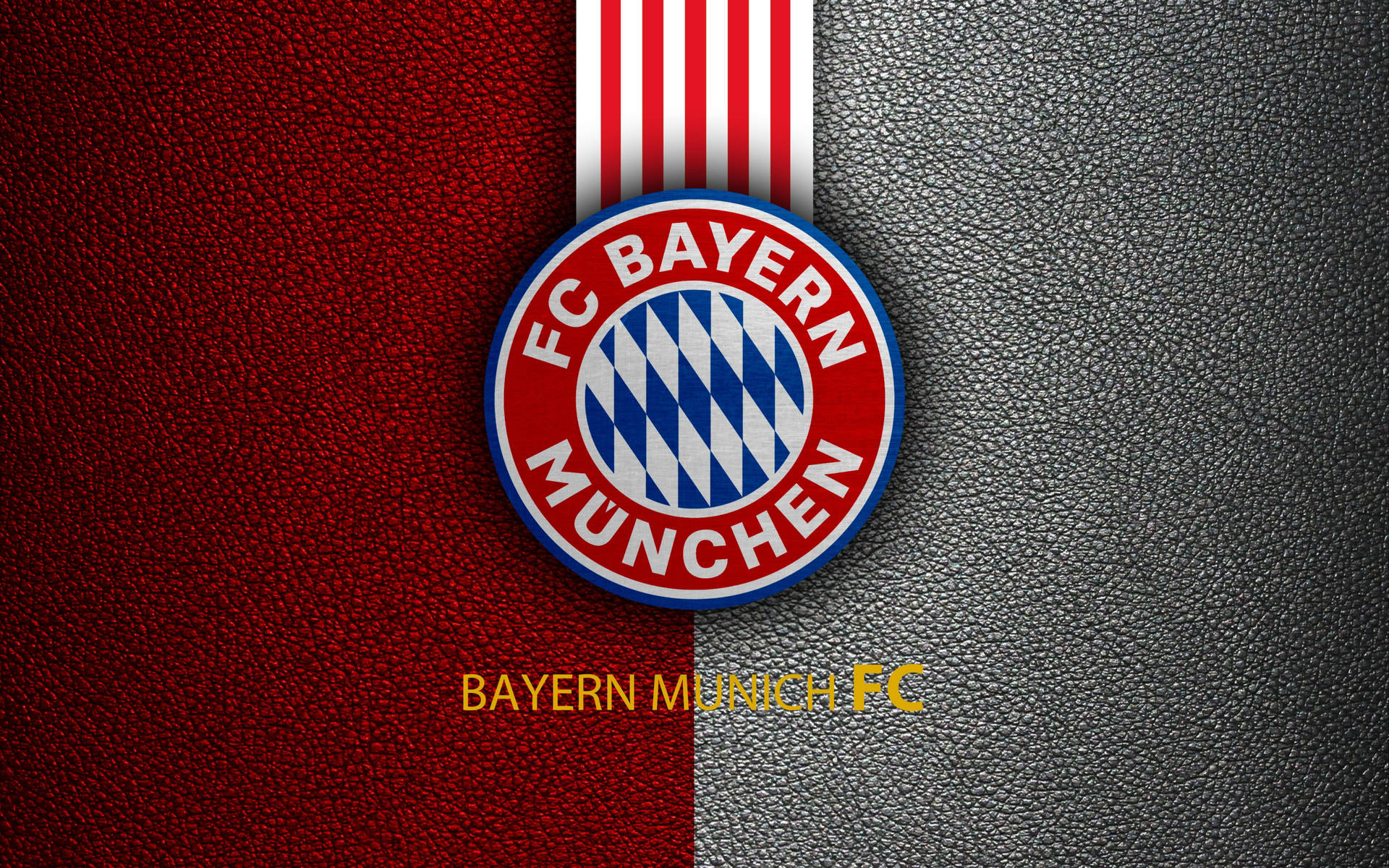 Bayern Munich Leather Logo Background