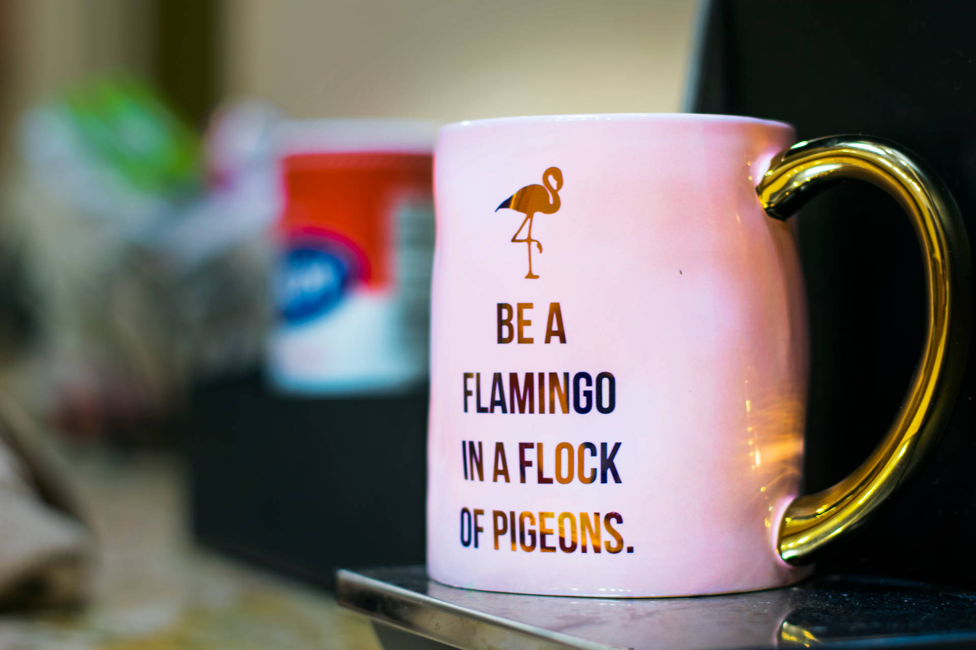 Be A Flamingo Quote