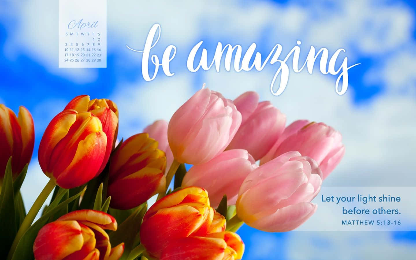Be Amazing Tulips - A Beautiful Image Of Tulips Background