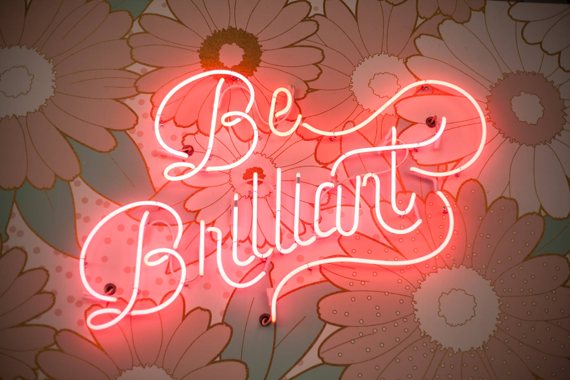 Be Brilliant Cook 4k Background