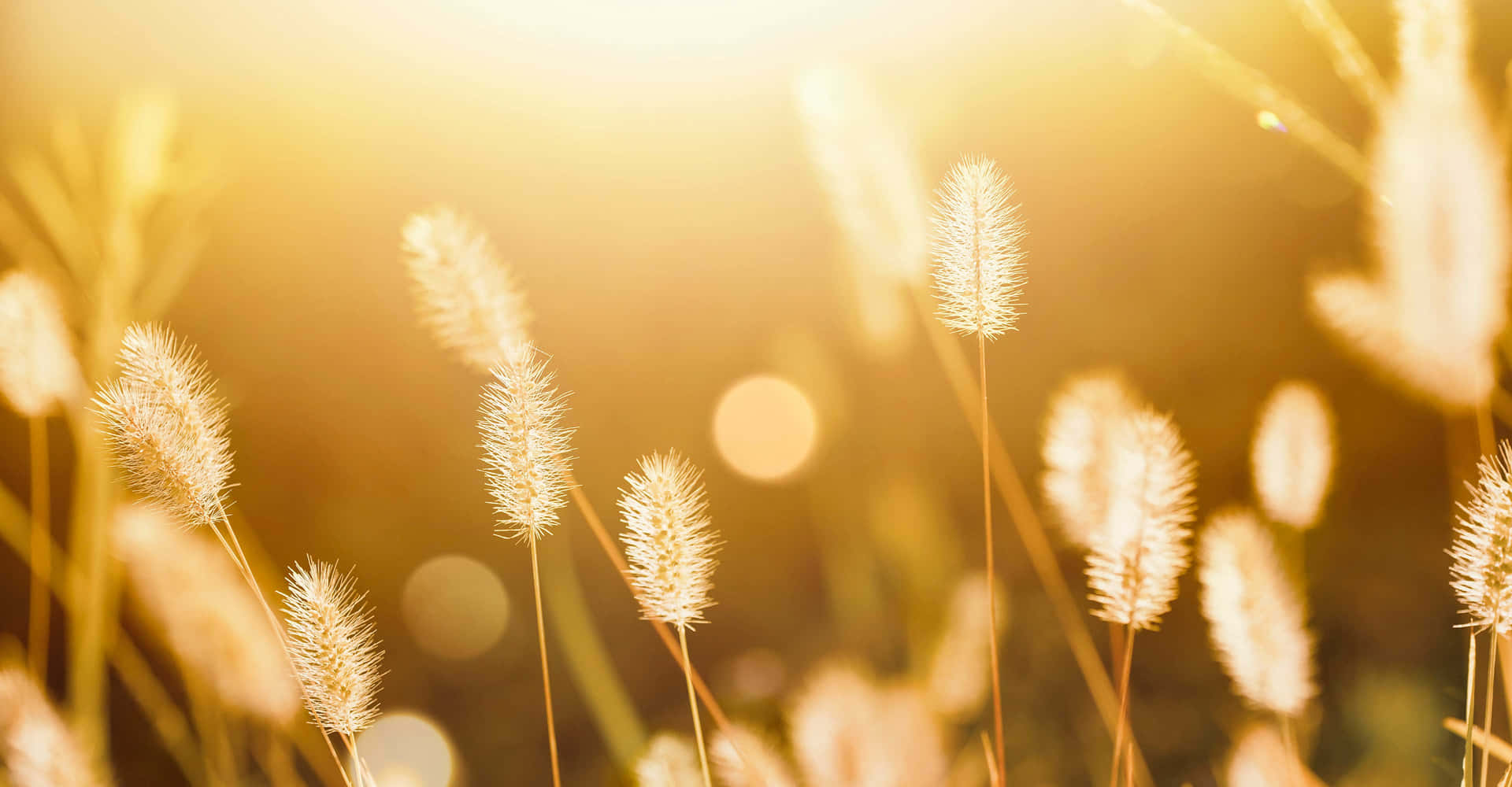 Be Considerate With Others Background