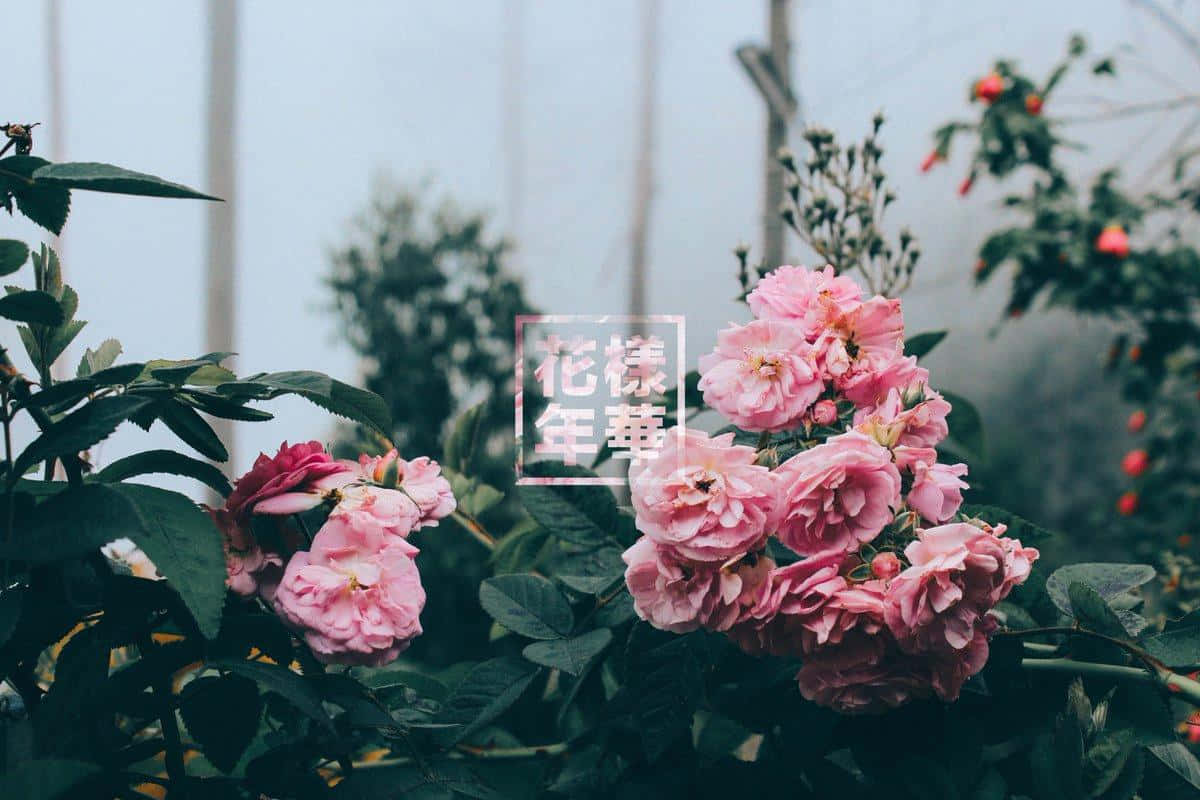 Be Inspired By This View Background