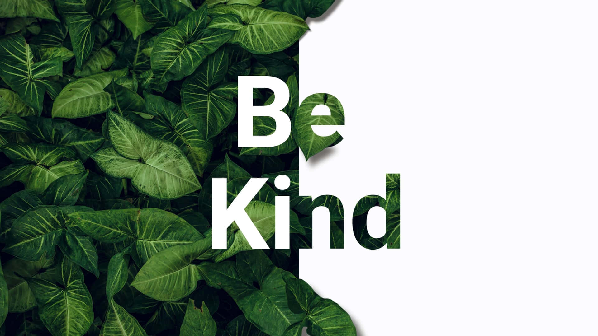 Be Kind 1920 X 1080