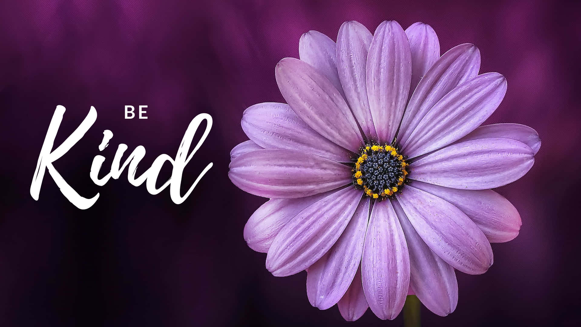 Be Kind And A Purple Flower Background