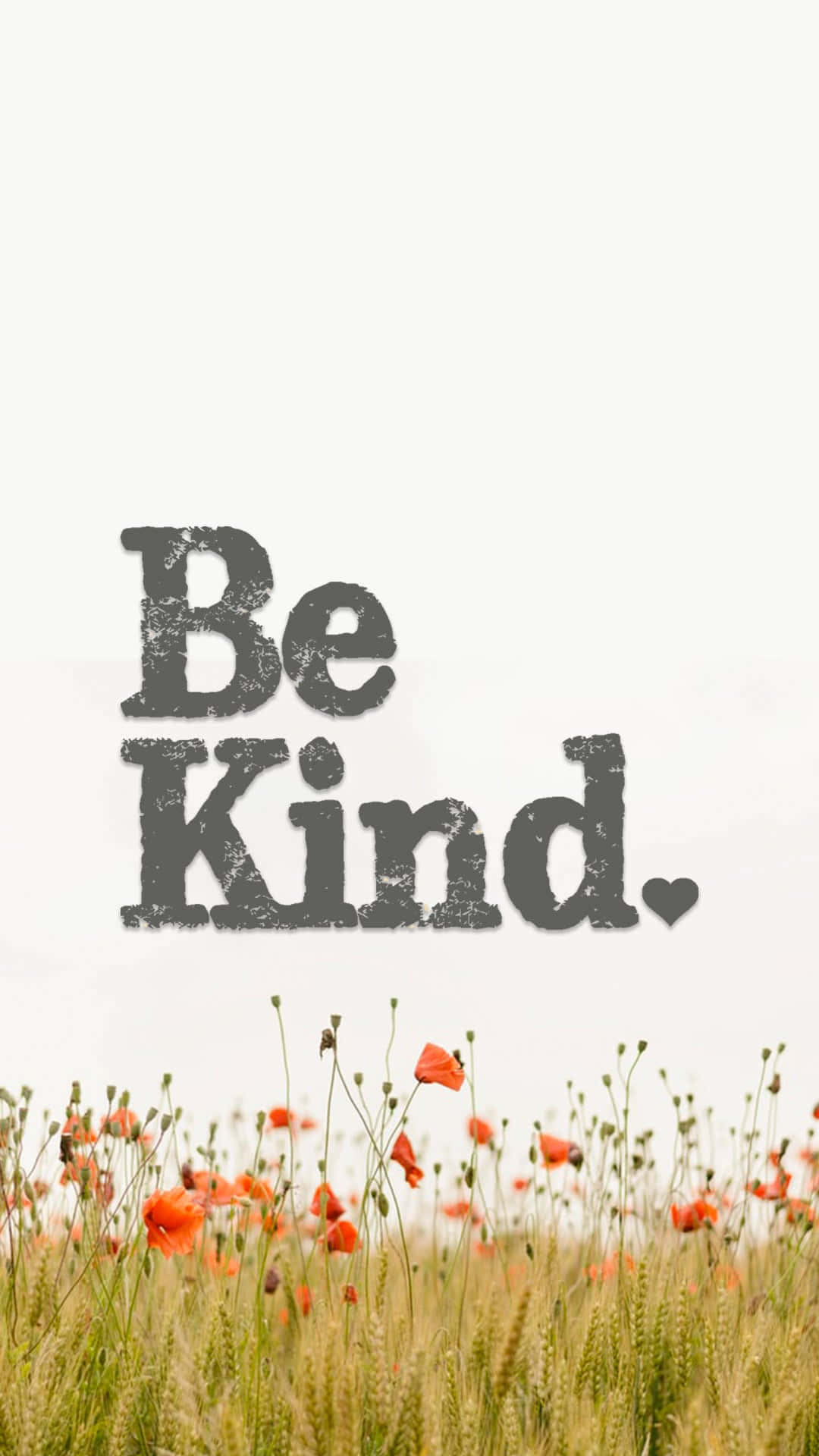 Be Kind Flower Field Background