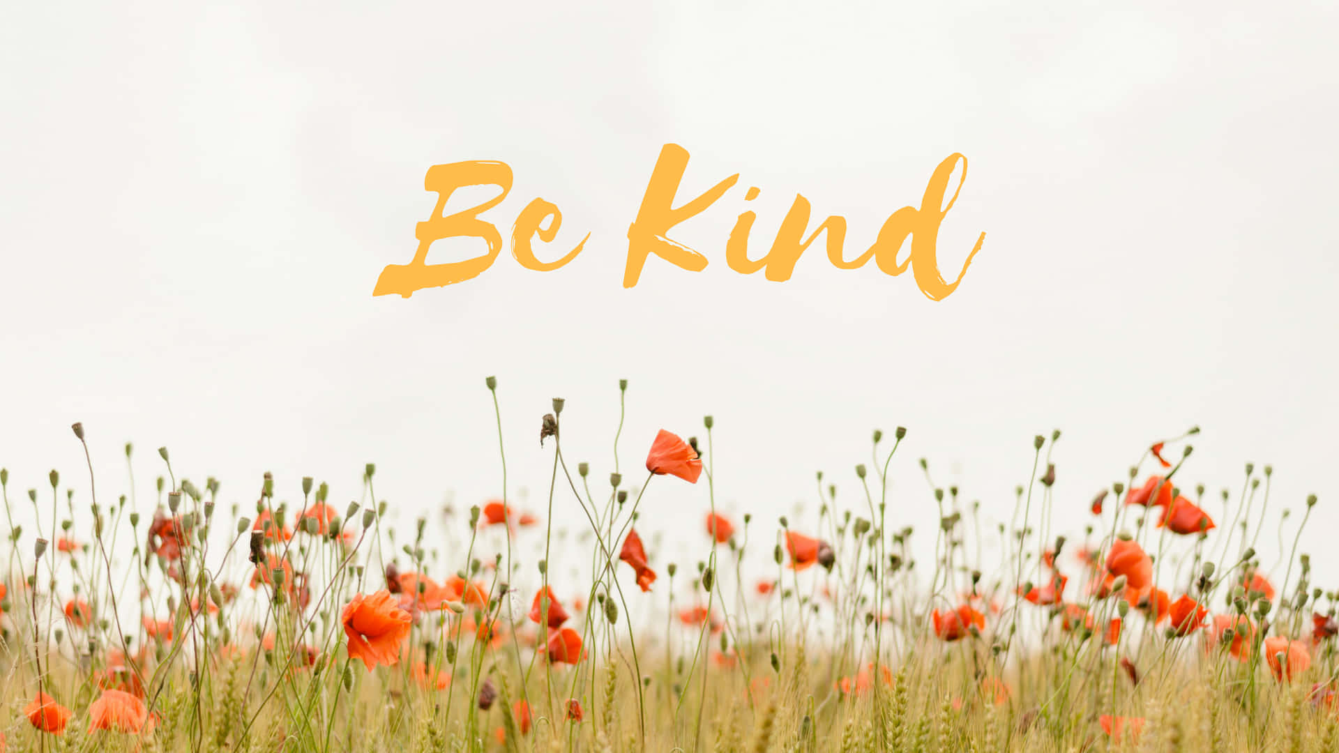Be Kind Lettering With Poppy Flowers Background