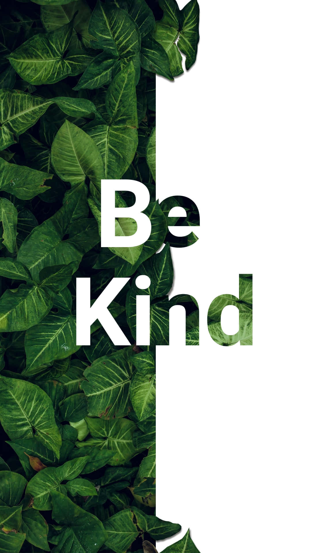 Be Kind Quote Leaf Design Background