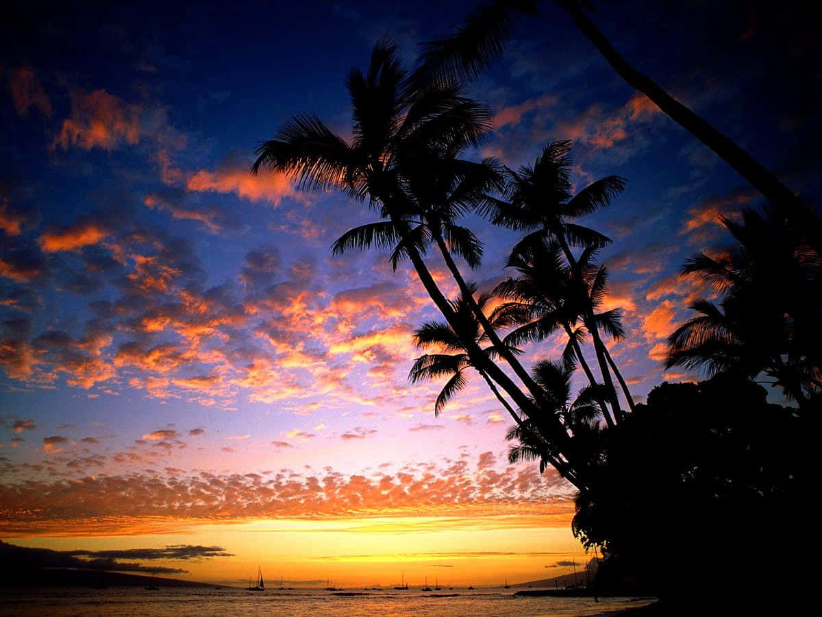Be Mesmerized By The Captivating Colors Of A Hawaii Sunset Background