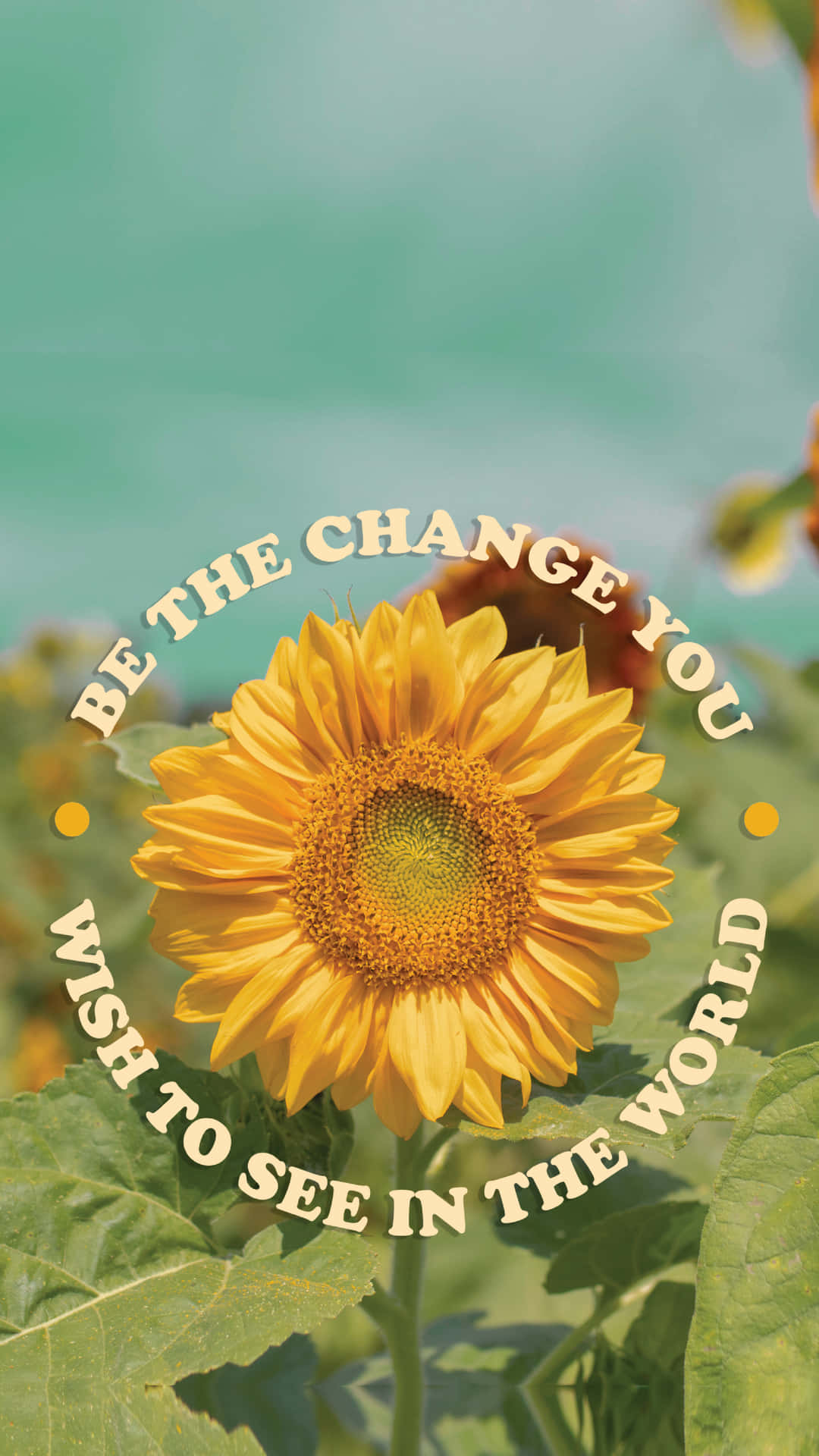 Be The Change Sunflower Aesthetic Iphone Background