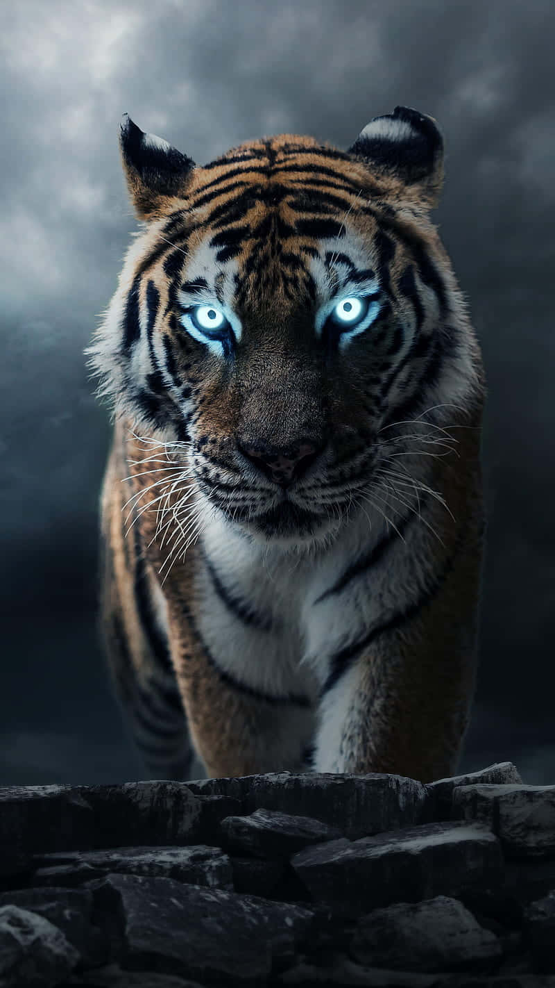 `be Wild With The Tiger Phone` Background