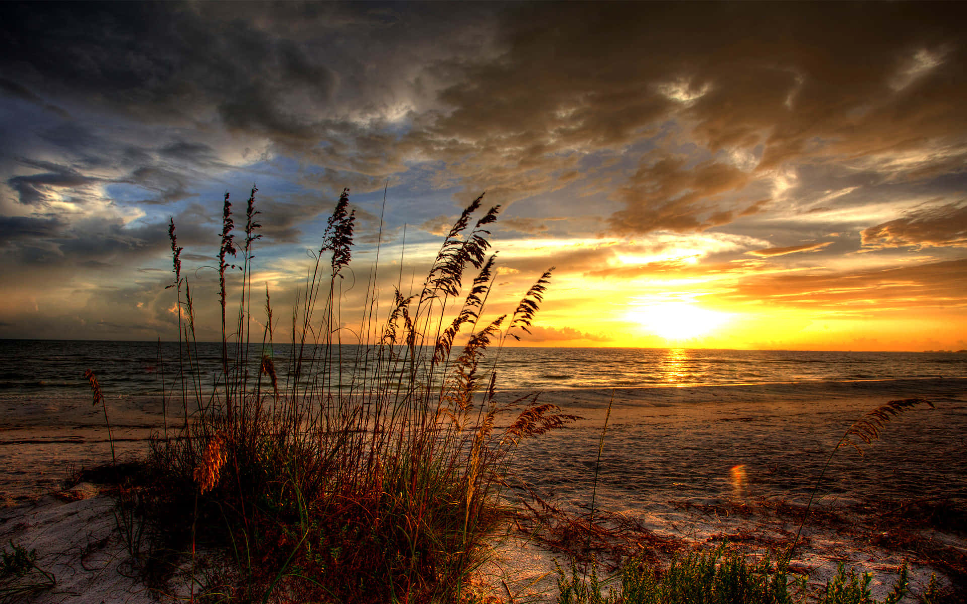 Beach Coastline And Sun Rise