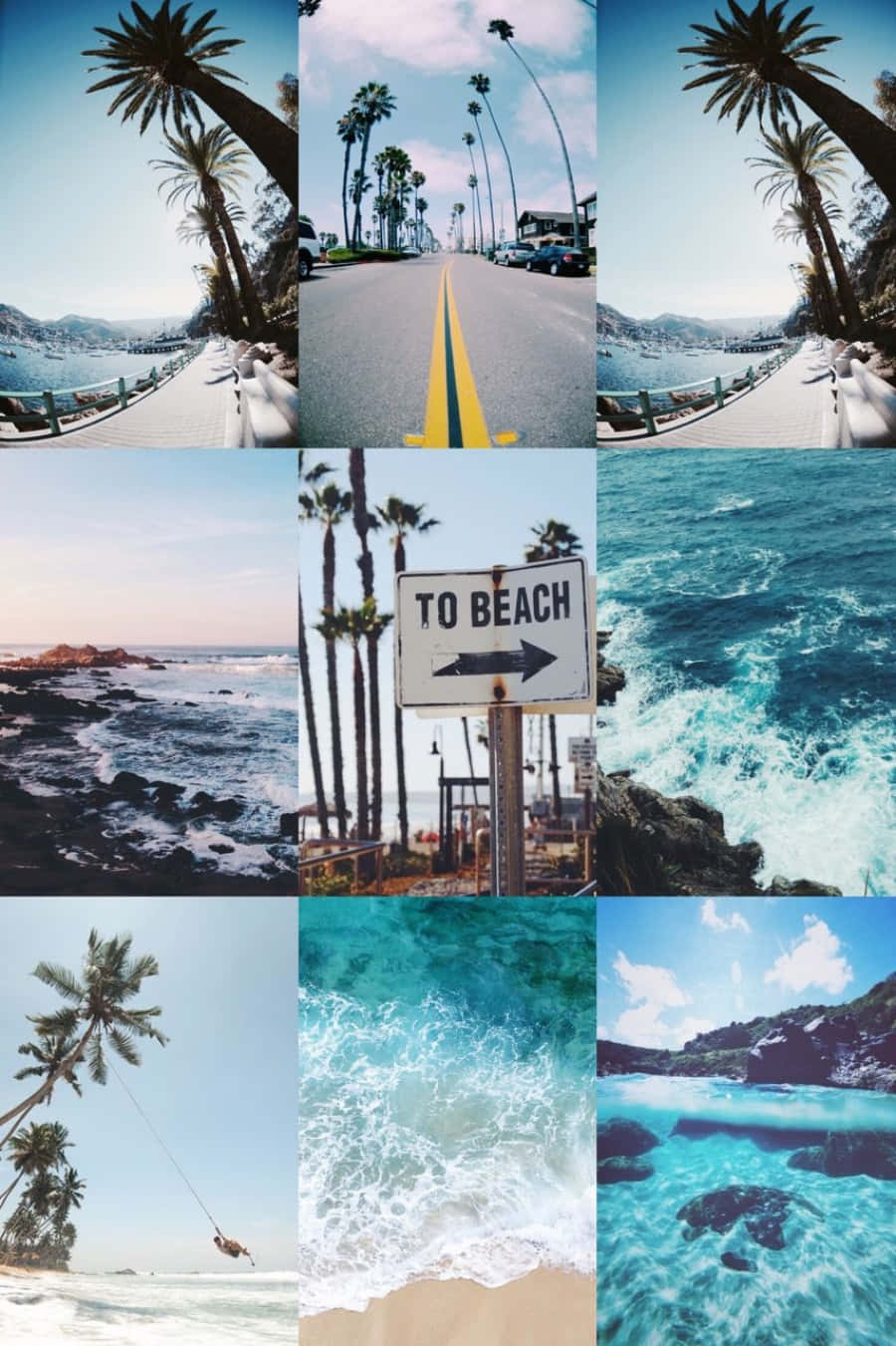 Beach Collage Sea And Palm Trees