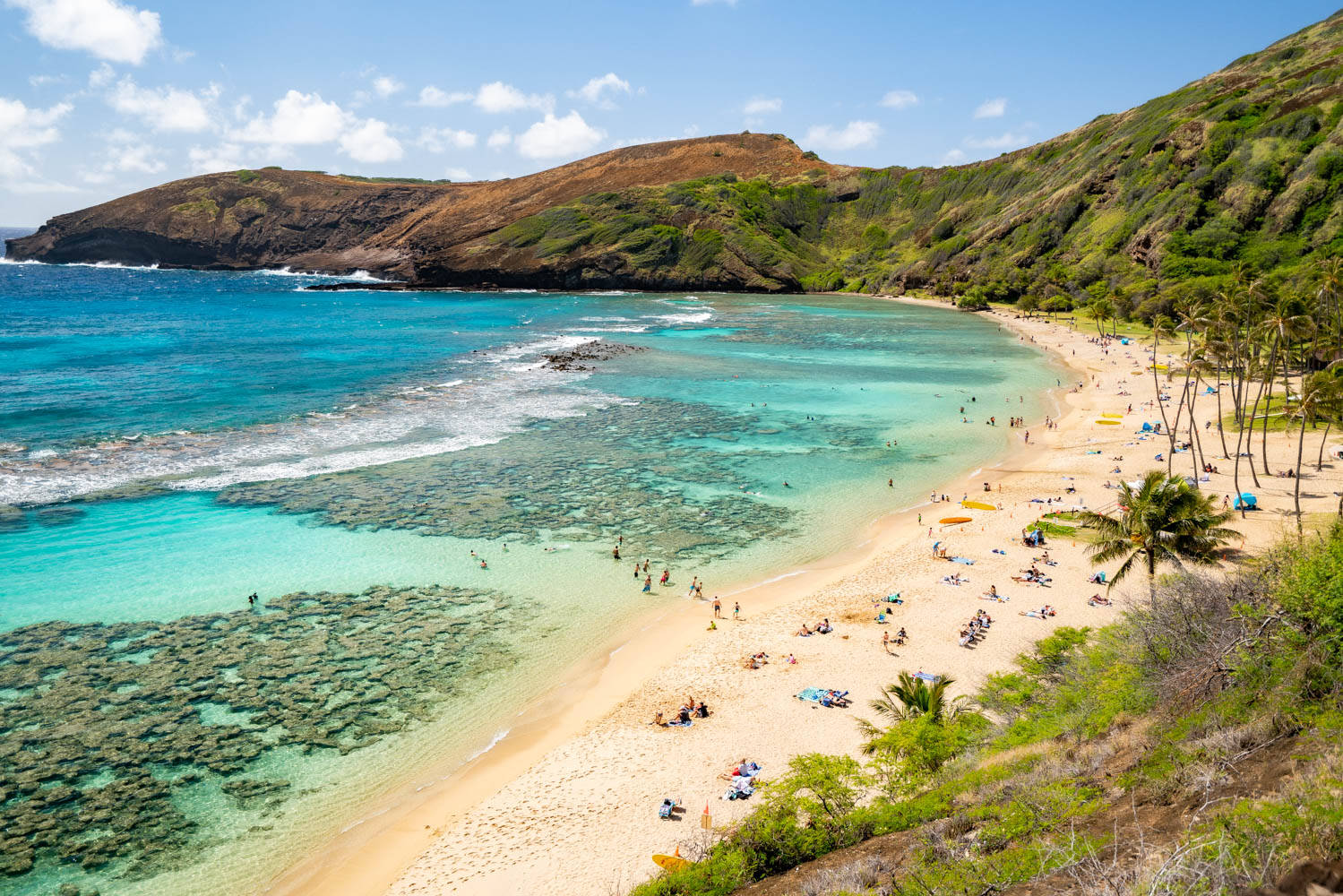 Beach In Oahu