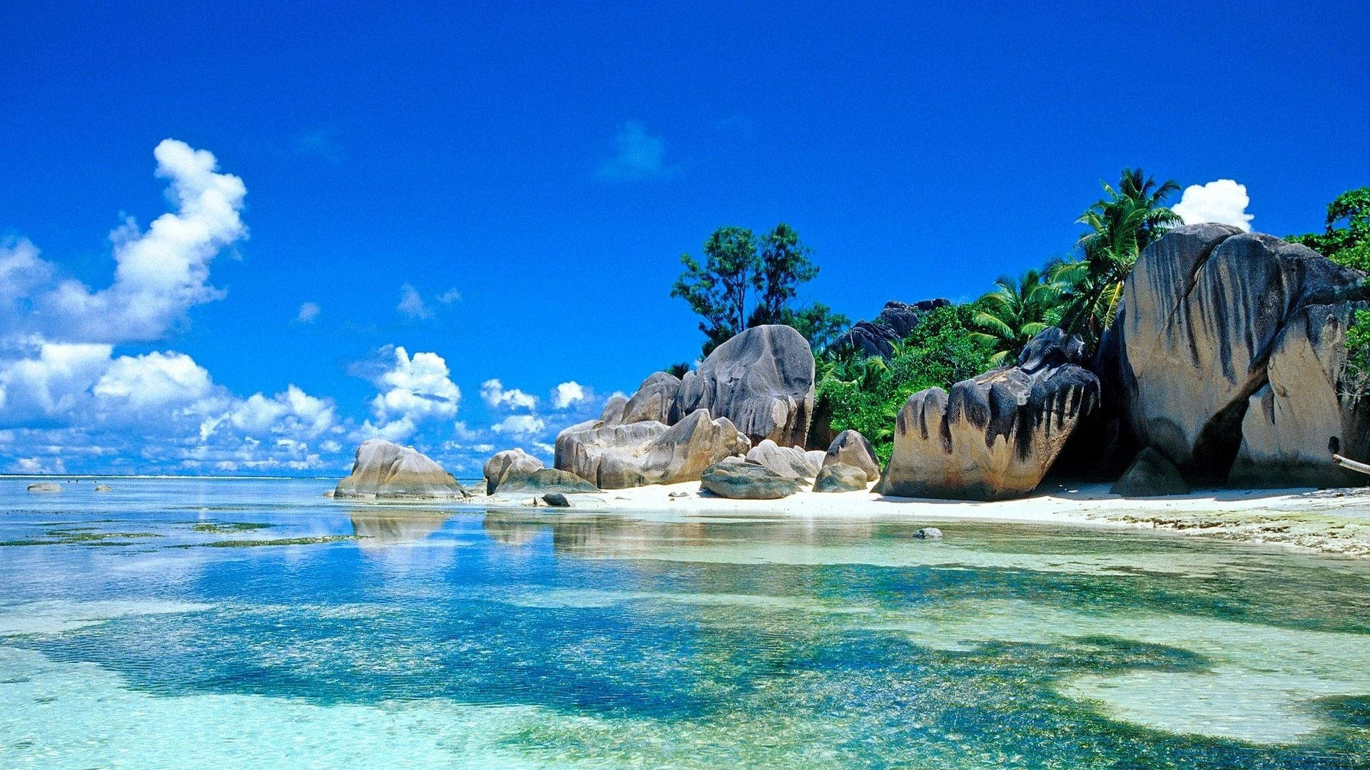 Beach In Seychelles Screen Saver Background