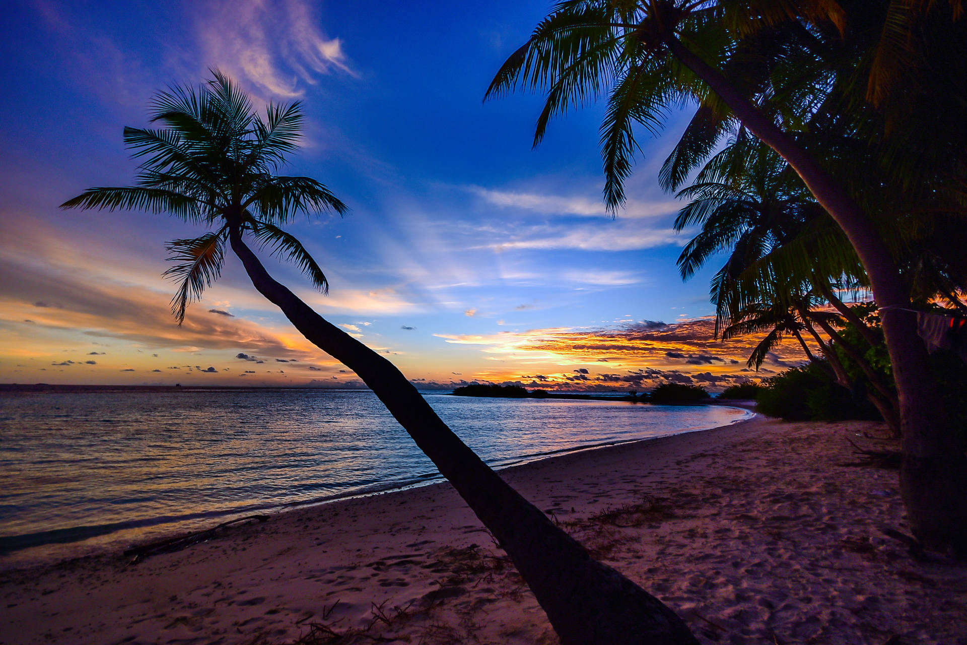 Beach Landscape With Coconut Tree Background