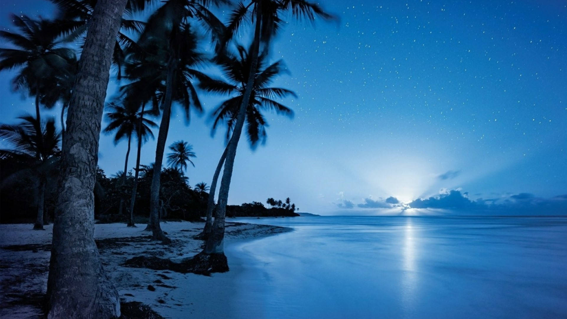 Beach Night Rising Moon Background