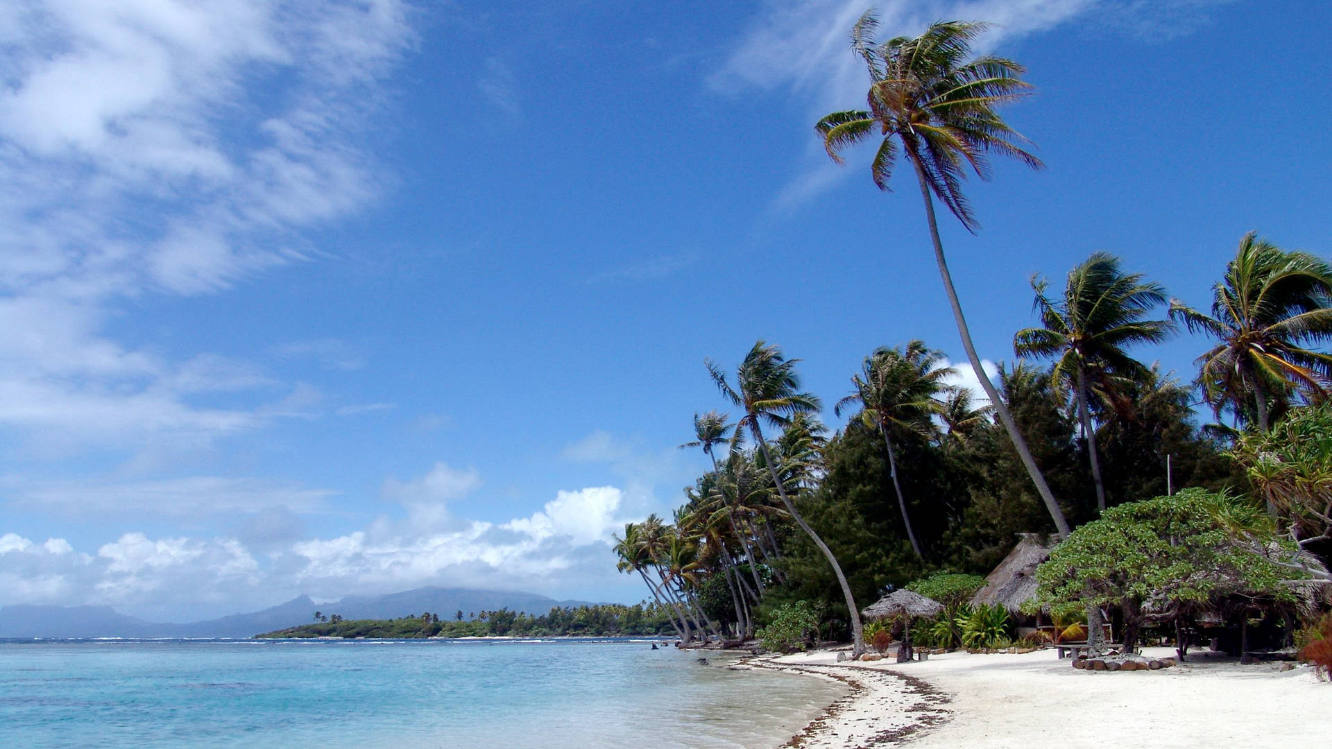 Beach On French Polynesia Background