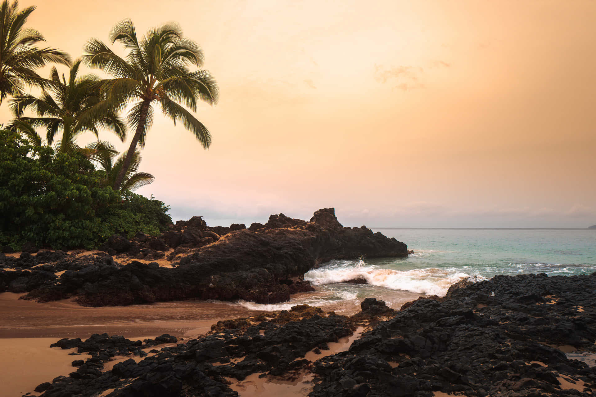 Beach Palm Hawaii Aesthetic Background