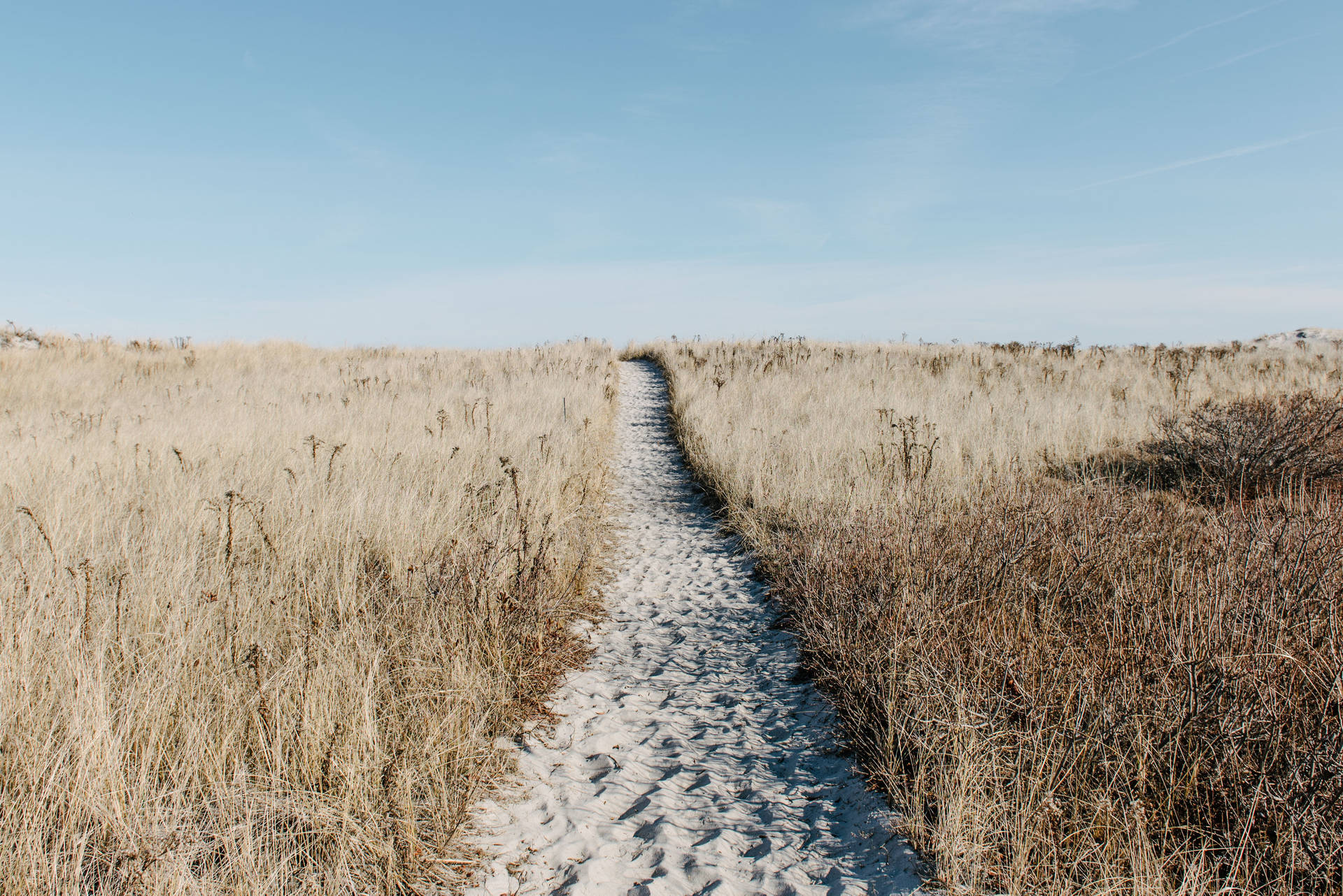 Beach Pathway Hd Landscape Desktop Background