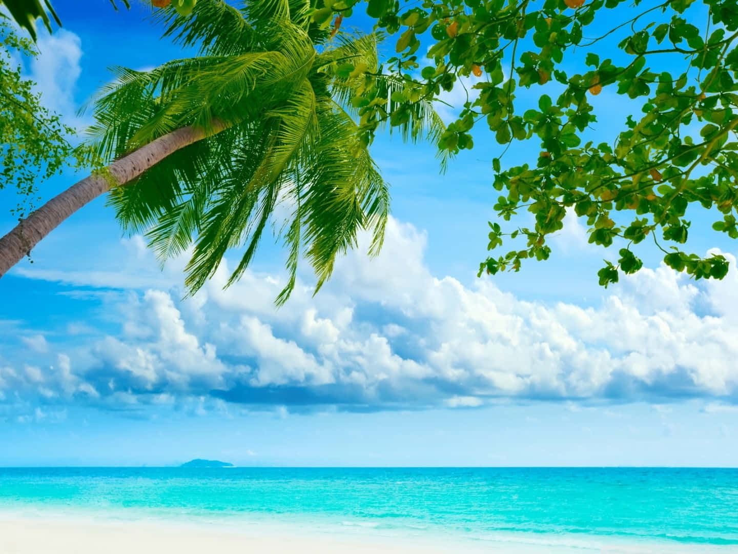 Beach Resort Relaxing Clouds Background