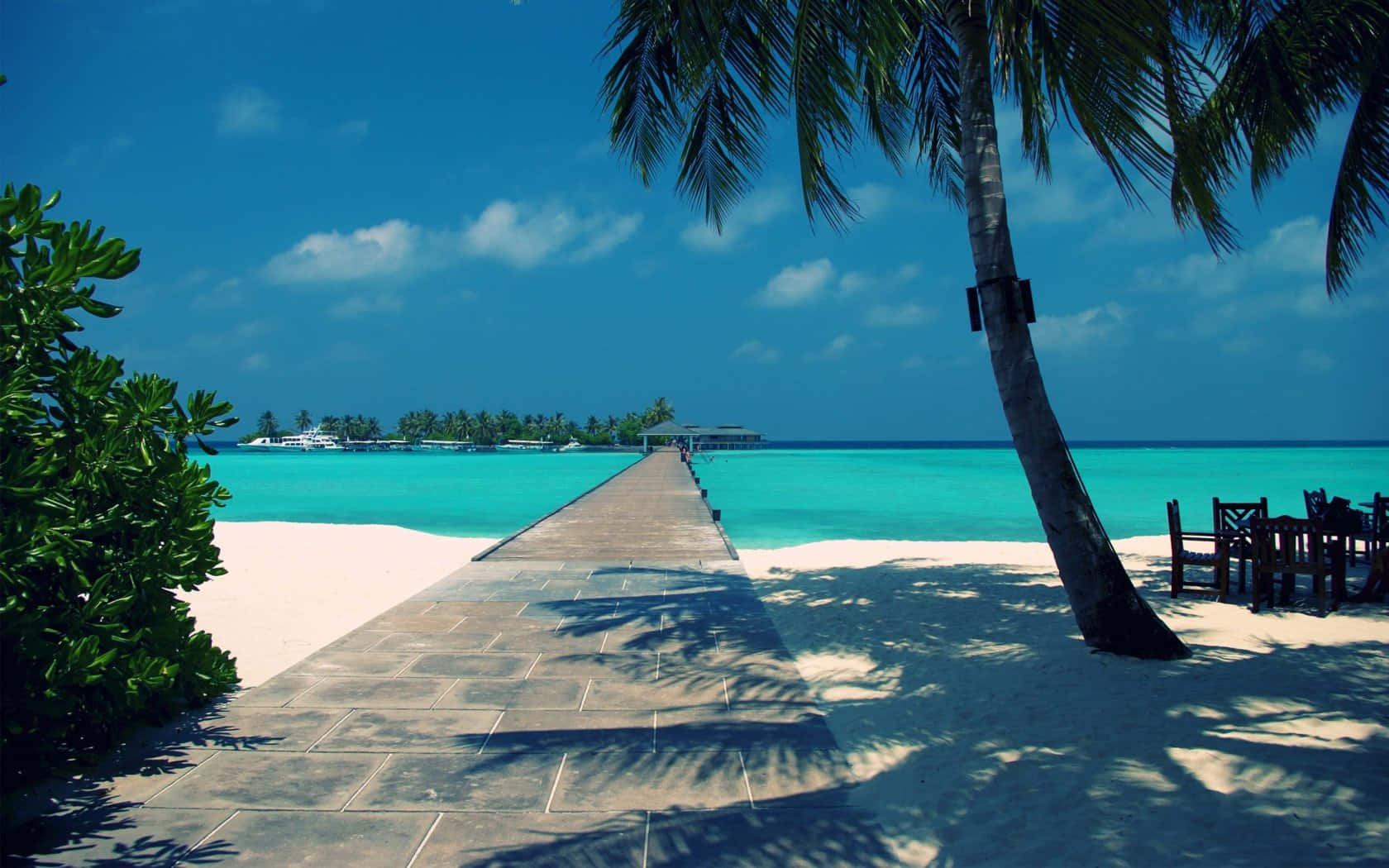 Beach Scene Aesthetic Summer White Sand Background