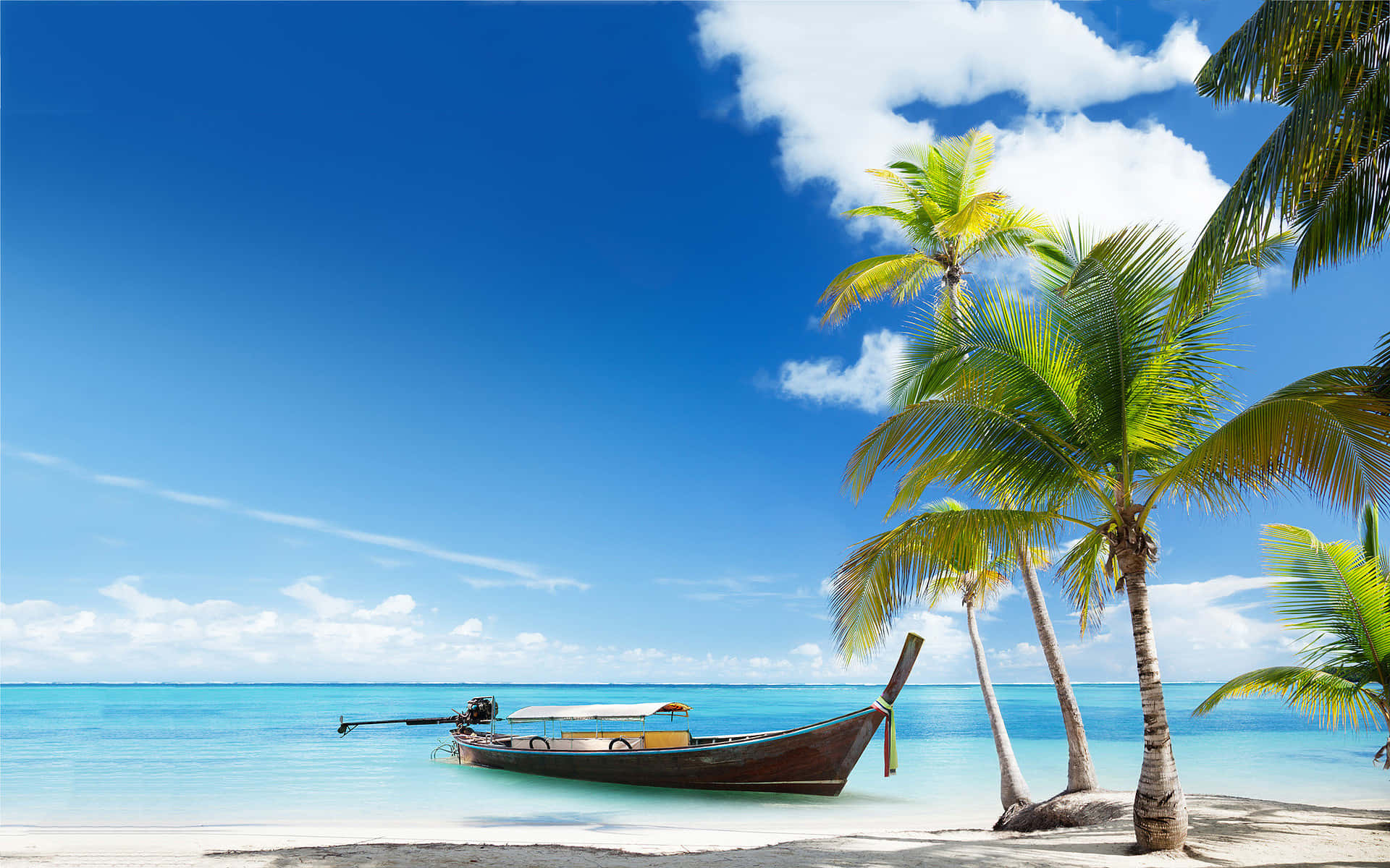 Beach Scene Coconut Tree Boat Background