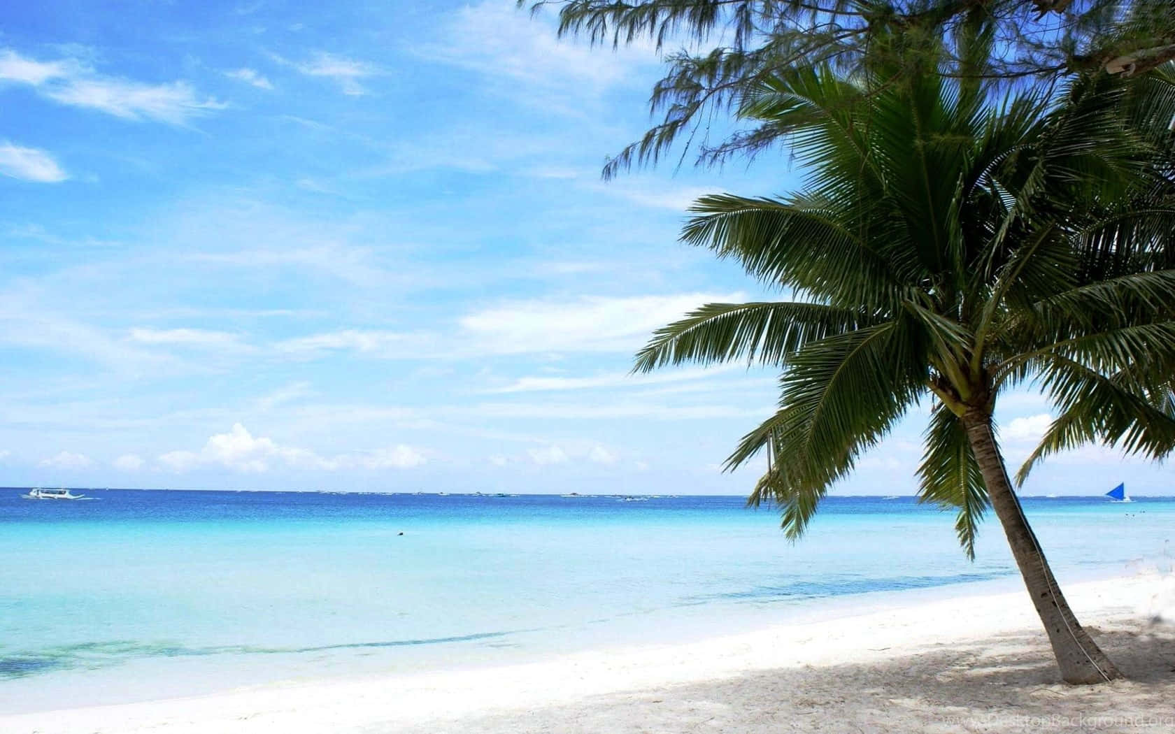 Beach Scene White Sand Blue Waters