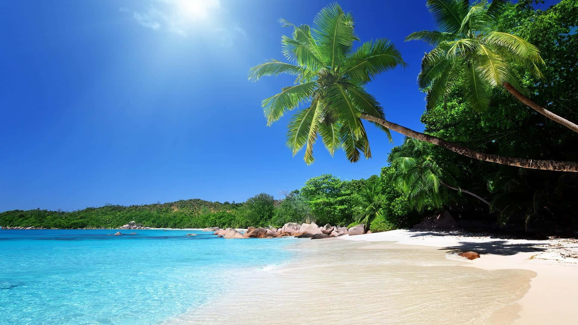 Beach Scene White Sand Sunny Day