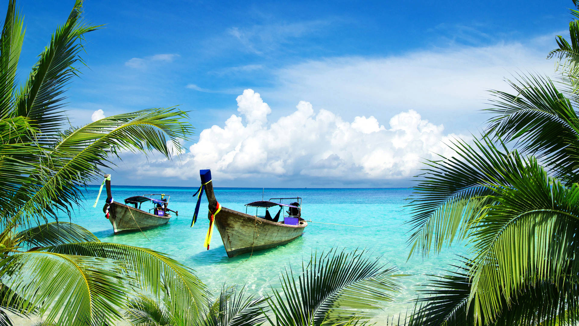 Beach Scenery With Coconut Tree And Boats Background