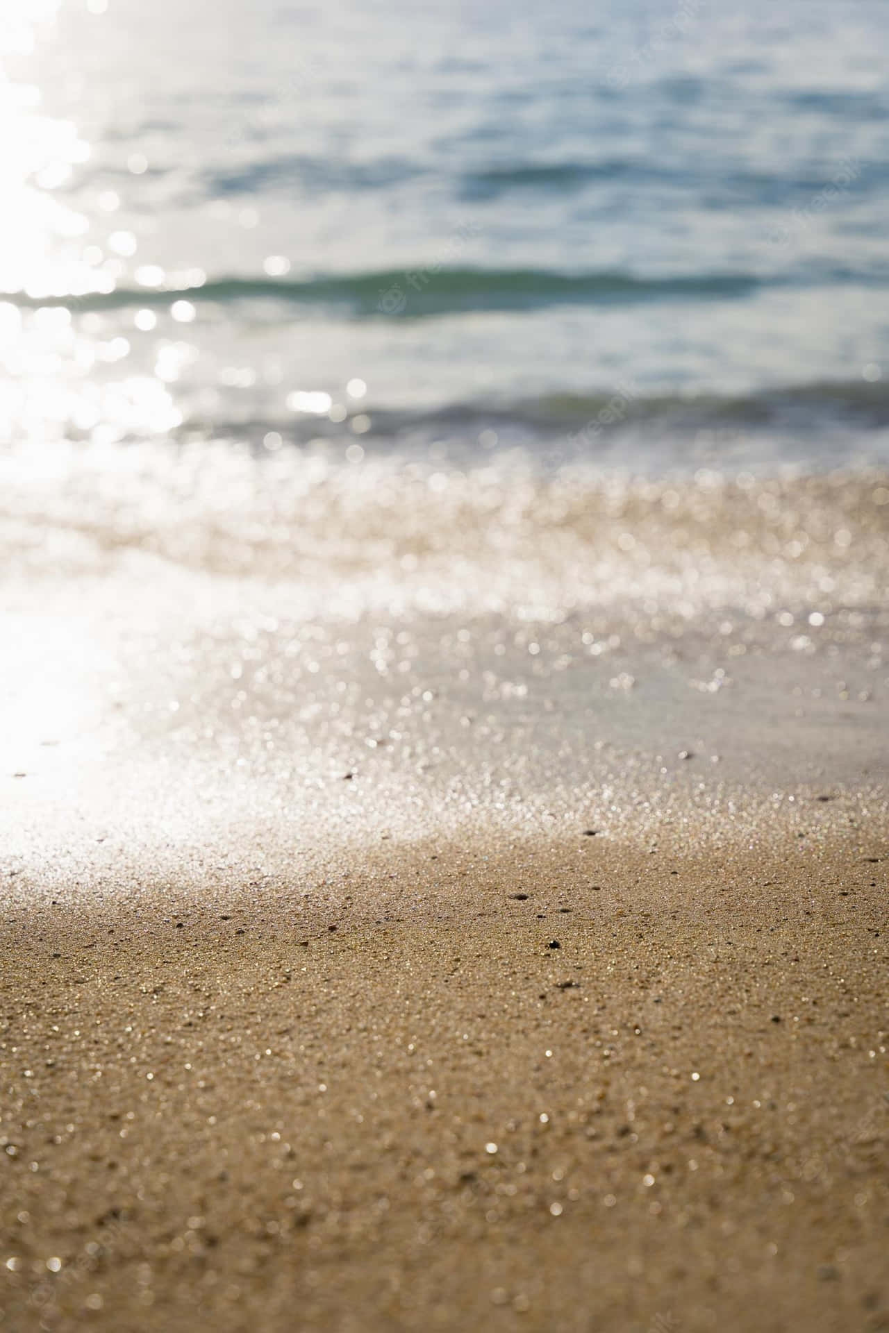 Beach Shore Shallow Photography Background