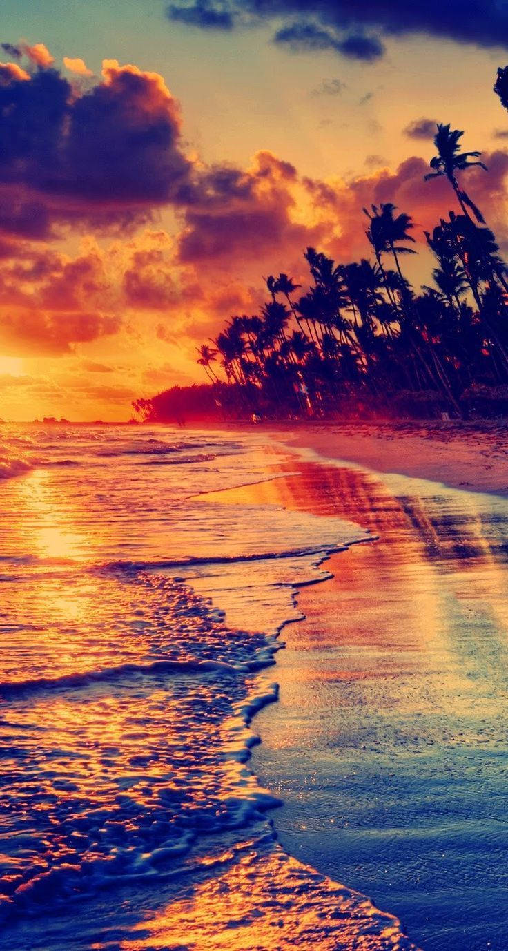 Beach Sunset On Awesome Phone Background