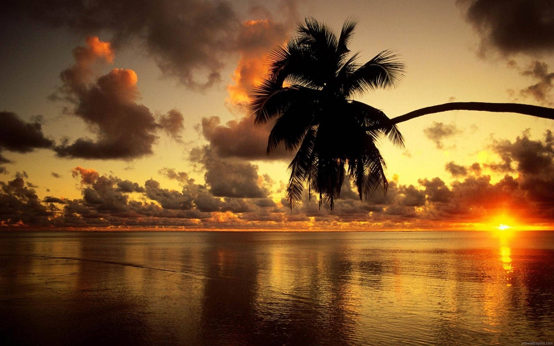 Beach Sunset On Full Hd Computer Desktop Background