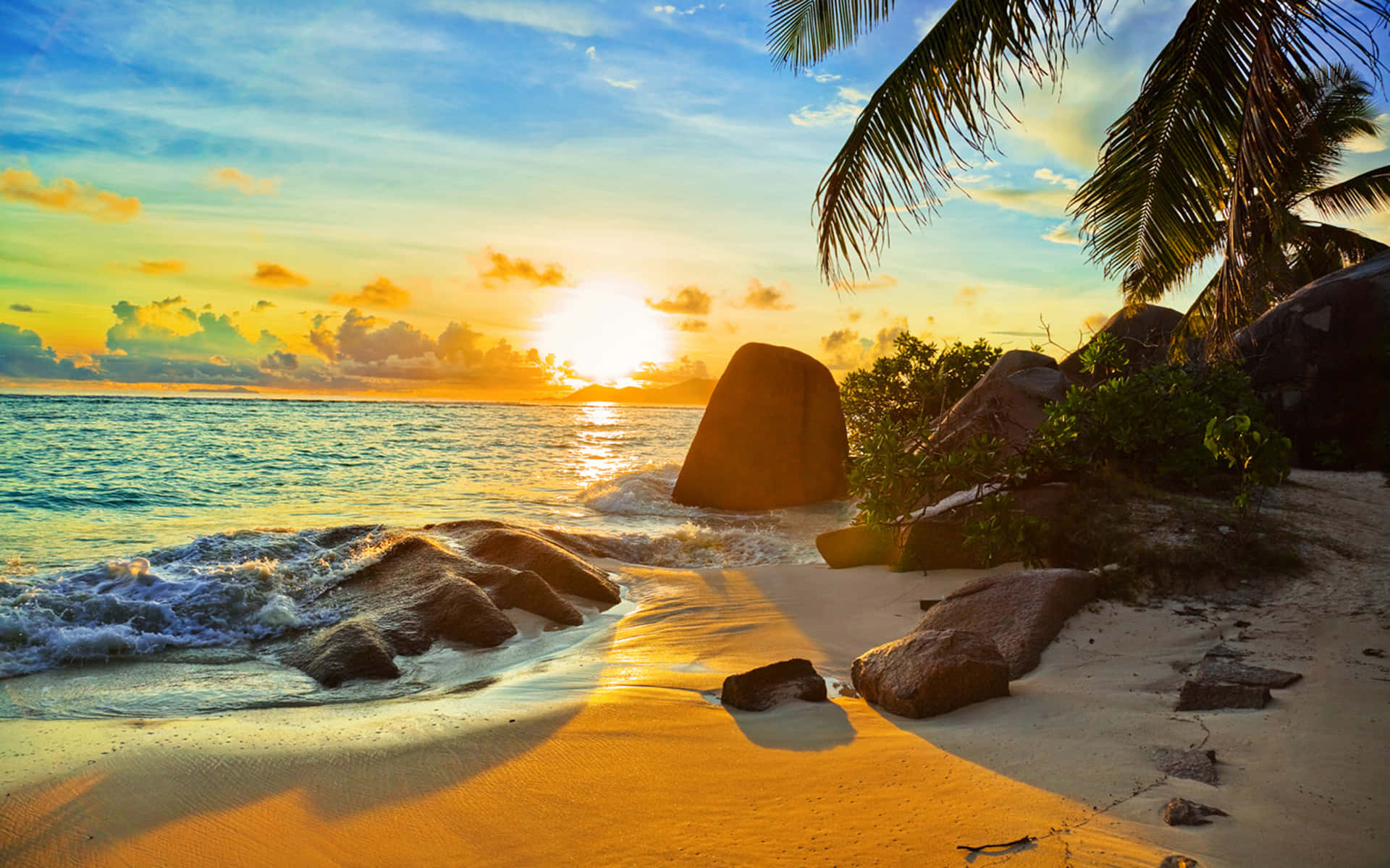 Beach Sunset Palm Trees Hd Background