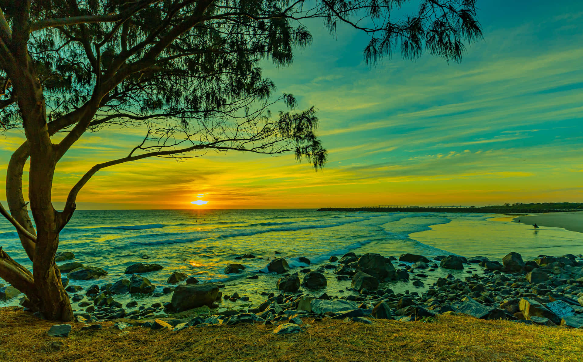 Beach Tree Sunset Hd Background