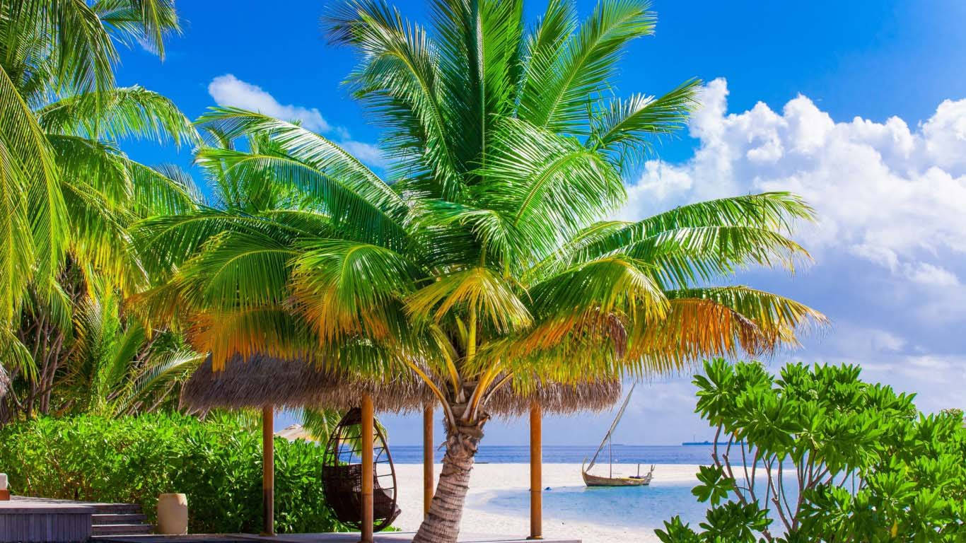 Beach Trees Cloudy Sky Attractive Scenery Background