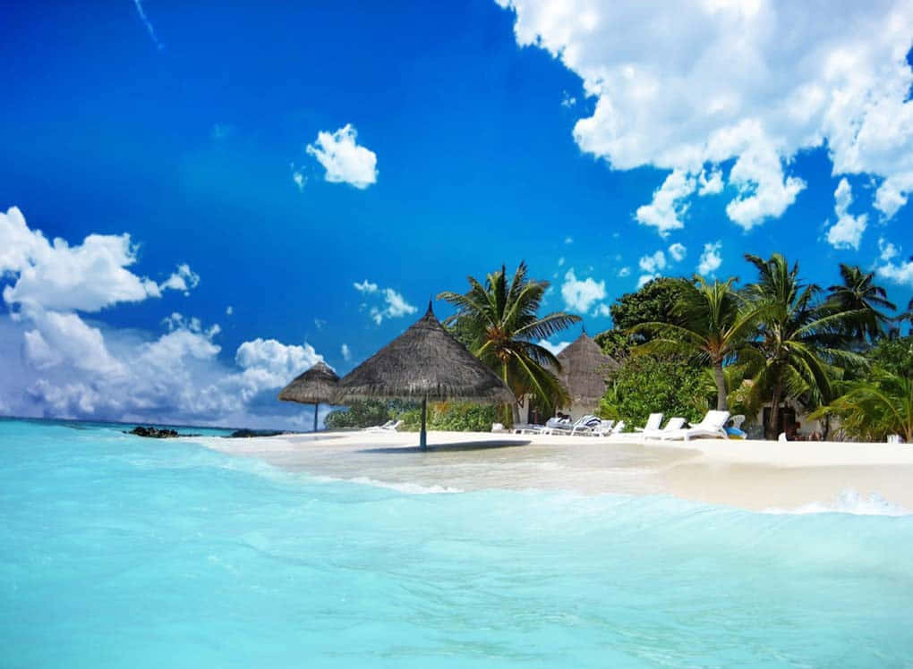 Beach Vacation Resort Relaxation Background