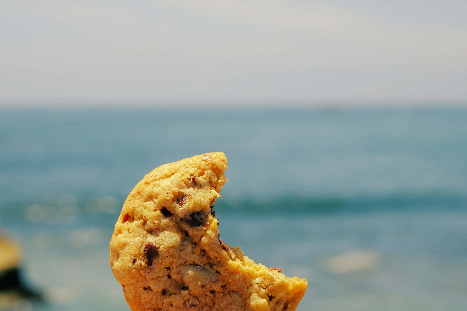 Beachside Chocolate Chip Cookie Bite Background
