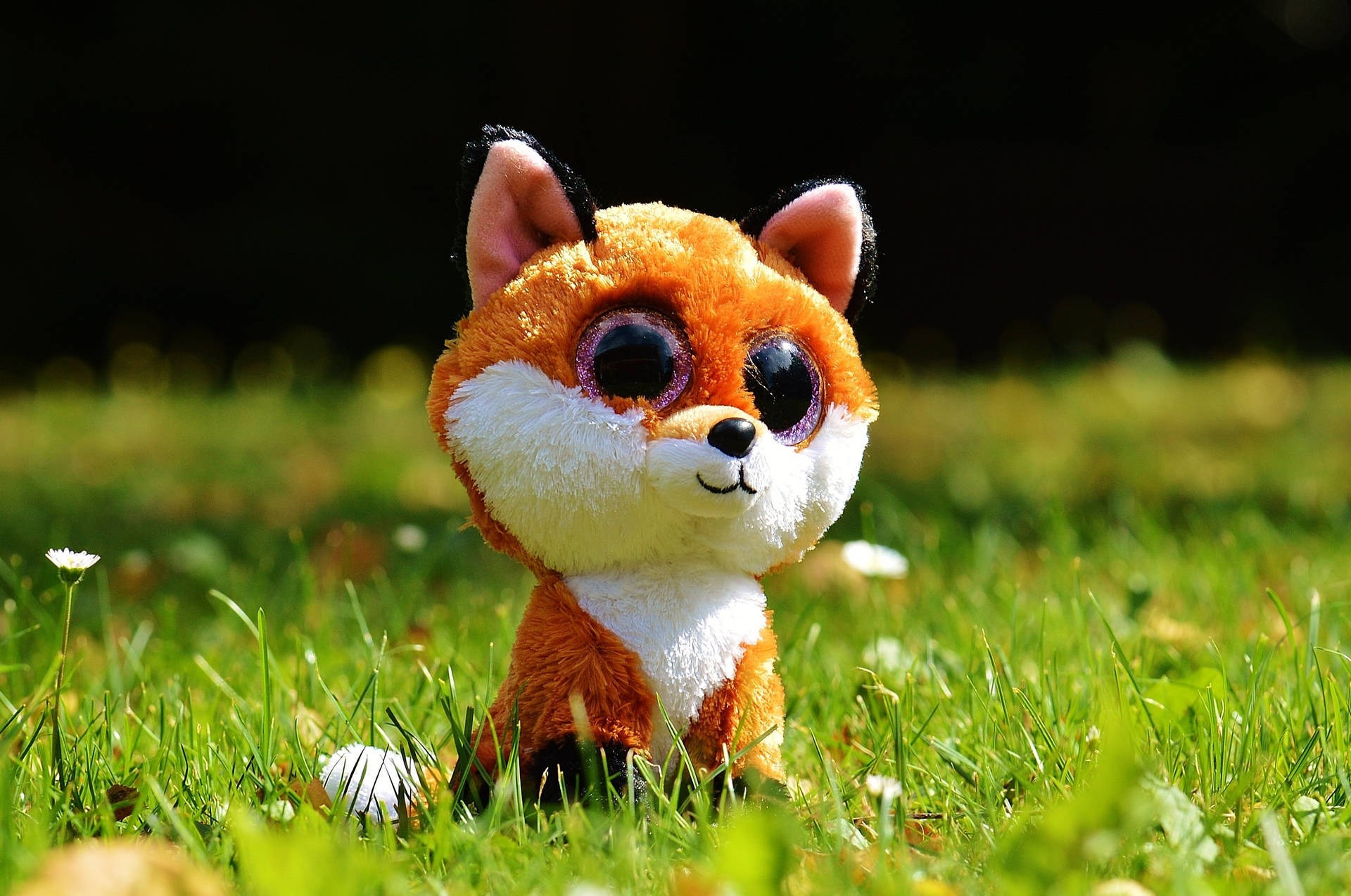 Beanie Boos Fox On The Grass Background