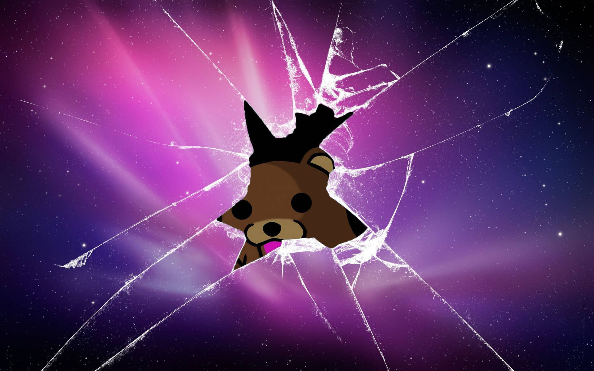 Bear Behind Cracked Screen Background