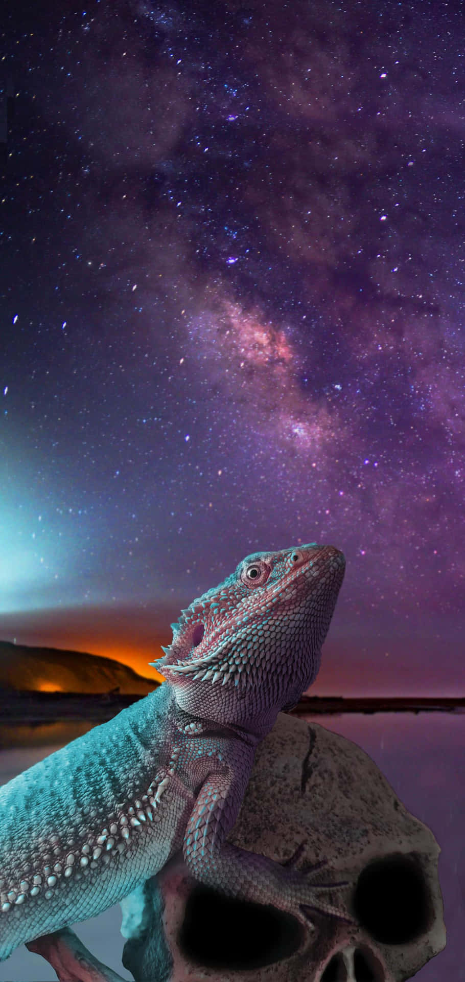 Bearded Dragon Starry Night Skull Background