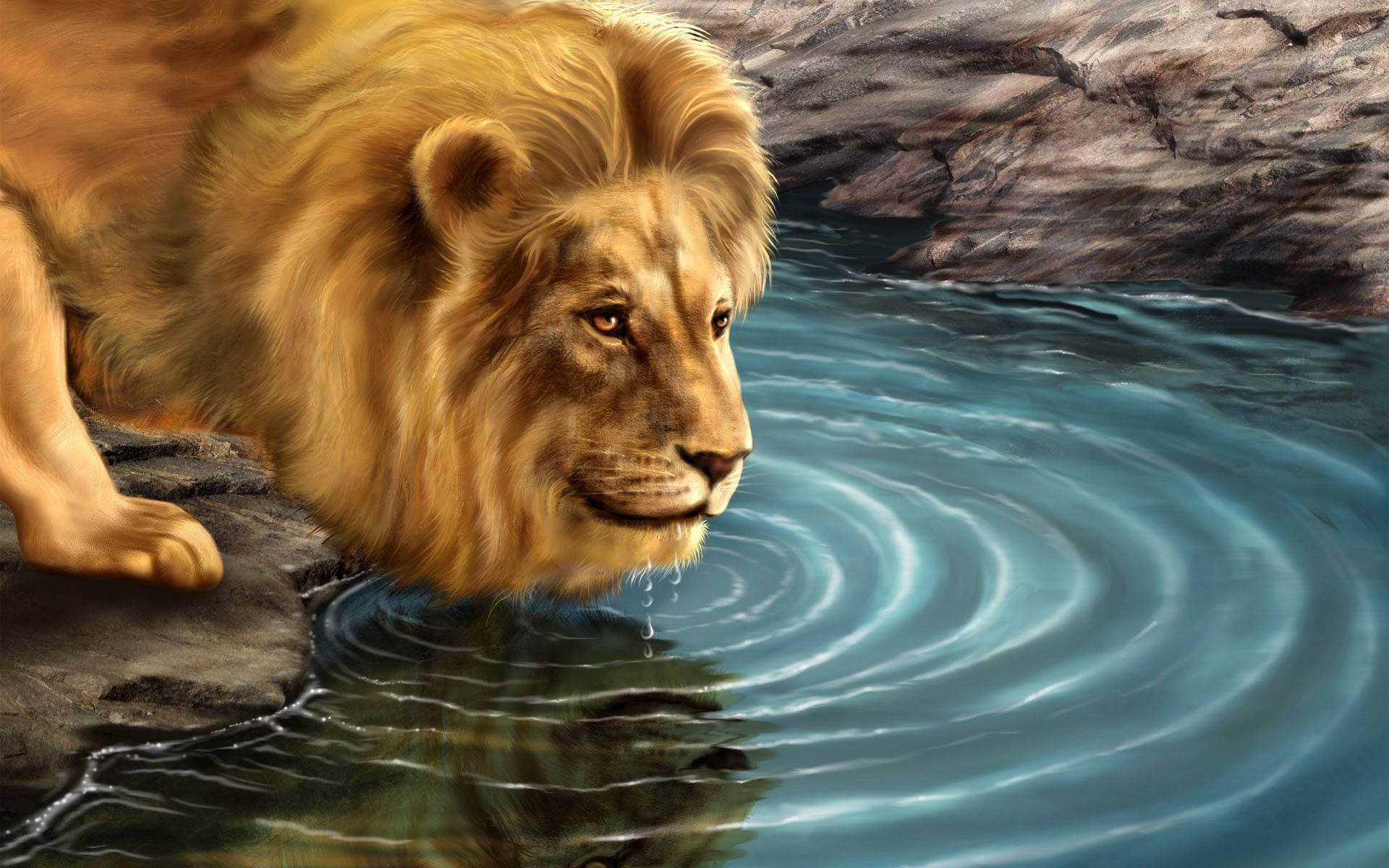 Beautiful 3d Lion Desktop Show Background