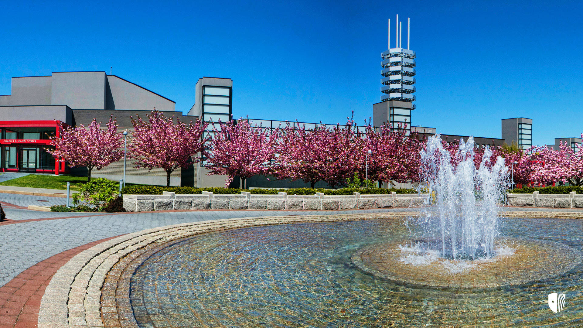 Beautiful 3d Model View Of Stony Brook University Campus