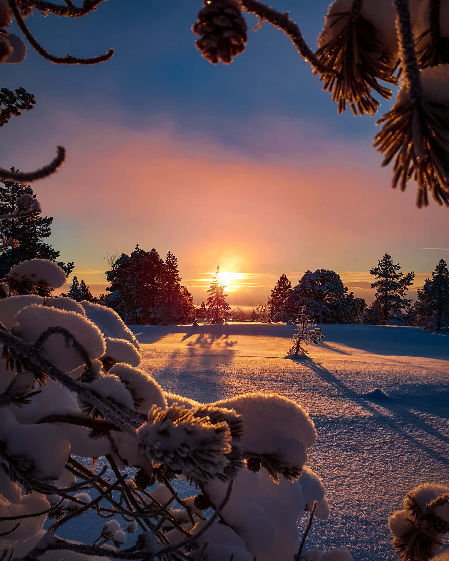 “beautiful And Amazing - Explore The Beauty Of Nature” Background