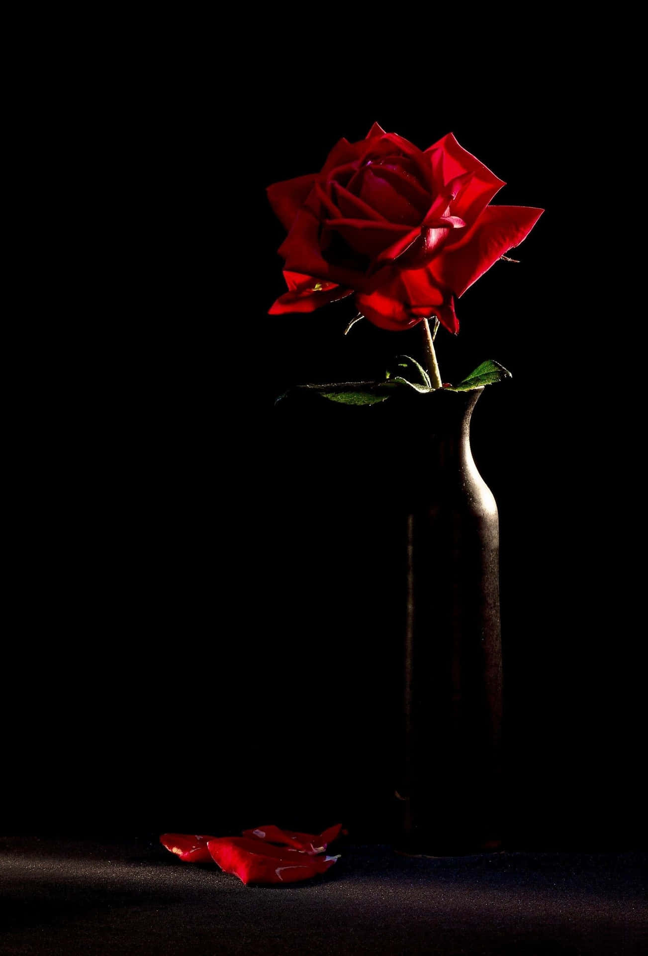 Beautiful And Unique Black Rose Background