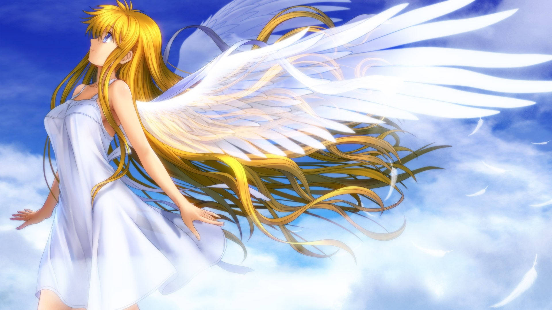 Beautiful Angels With Transparent Wings Background