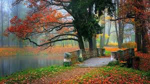 Beautiful Autumn Bridge Pretty Landscape Background