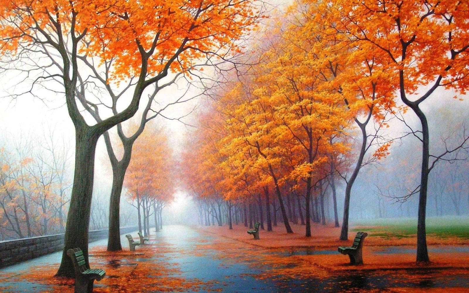 Beautiful Autumn Trees Scenery Background